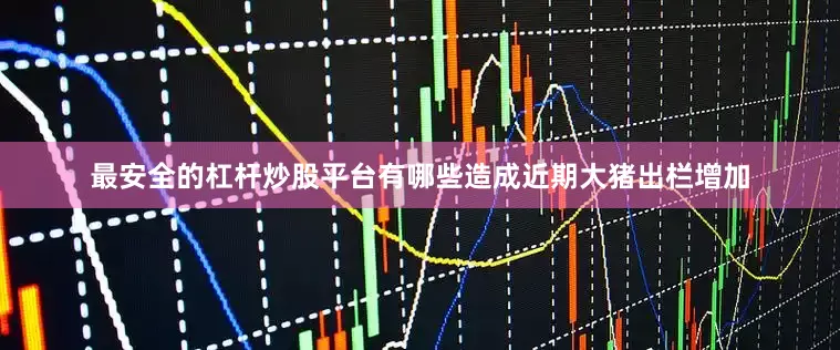 最安全的杠杆炒股平台有哪些造成近期大猪出栏增加