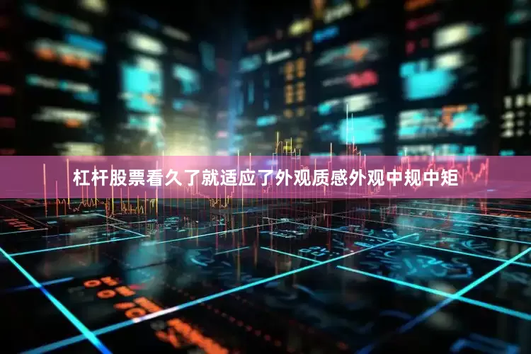 杠杆股票看久了就适应了外观质感外观中规中矩